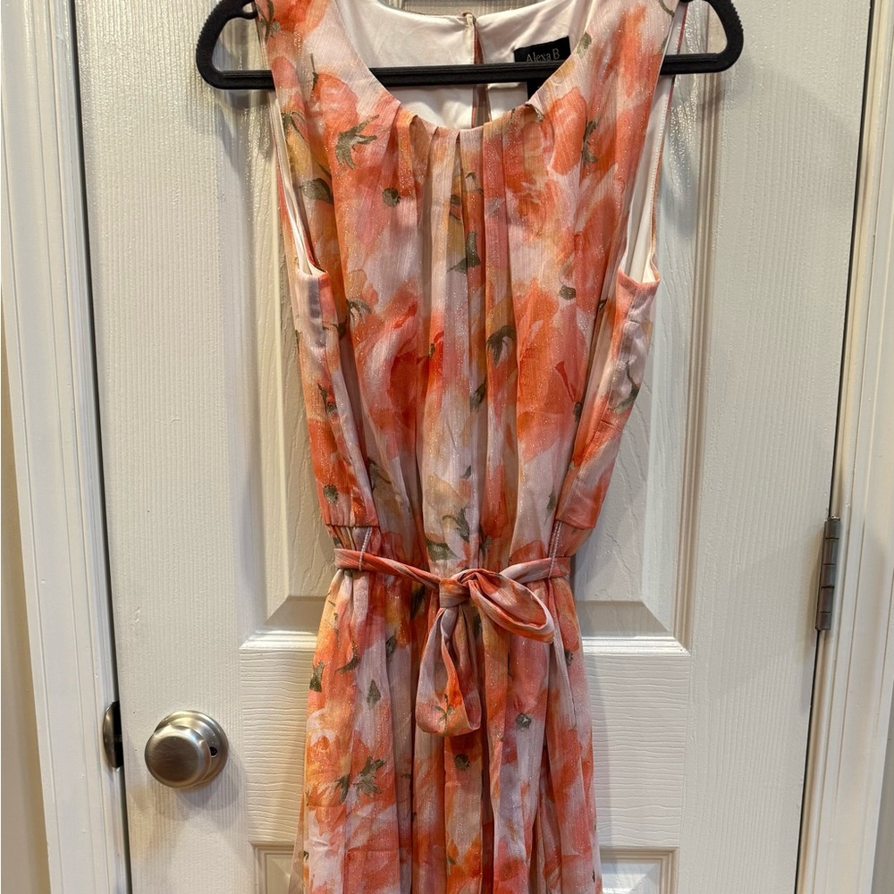 ALEXA B Floral Maxi Dress 12P Shimmery Orange Maxi Sleeveless Wedding Summer